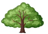 bk-ecosys